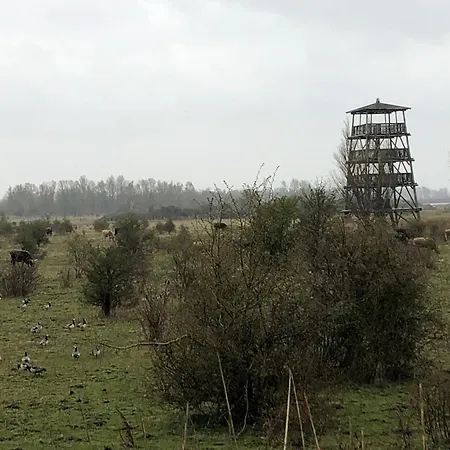 Holiday home Water In Near Volkerak, Cleaning Included