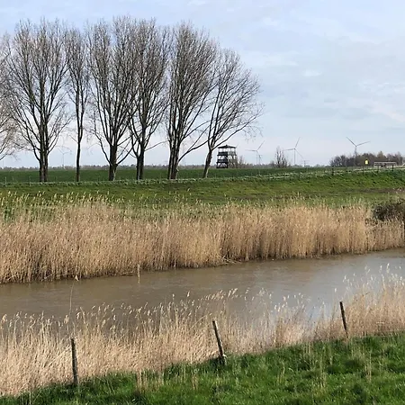Water In Near Volkerak, Cleaning Included Ooltgensplaat